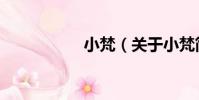 小梵(關于小梵簡介)