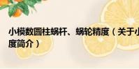 小模數圓柱蝸桿、蝸輪精度(關于小模數圓柱蝸桿、蝸輪精度簡介)