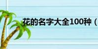 花的名字大全100種(花的名字)