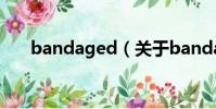 bandaged(關于bandaged的簡介)