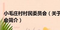 小毛莊村村民委員會(關于小毛莊村村民委員會簡介)