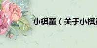 小棋童(關于小棋童簡介)