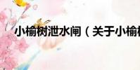 小榆樹泄水閘(關于小榆樹泄水閘簡介)