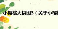 小櫻桃大拼圖3(關于小櫻桃大拼圖3簡介)