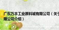 廣東萬豐工業原料城有限公司(關于廣東萬豐工業原料城有限公司介紹)