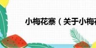 小梅花寨(關于小梅花寨簡介)