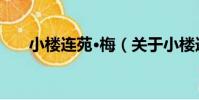 小樓連苑·梅(關于小樓連苑·梅簡介)