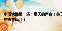 小毛快跑第一集:夏天的聲音(關于小毛快跑第一集:夏天的聲音簡介)