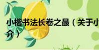 小楷書法長卷之最(關于小楷書法長卷之最簡介)
