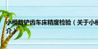 小模數鏟齒車床精度檢驗(關于小模數鏟齒車床精度檢驗簡介)