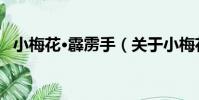 小梅花·霹靂手(關于小梅花·霹靂手簡介)