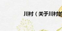 川村(關于川村的簡介)