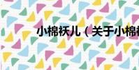 小棉襖兒(關于小棉襖兒簡介)