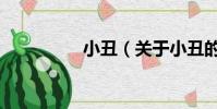 小丑(關于小丑的簡介)