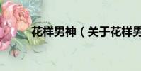 花樣男神(關于花樣男神的簡介)
