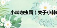 小棘吻蟲屬(關于小棘吻蟲屬簡介)