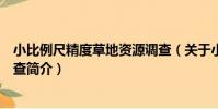 小比例尺精度草地資源調查(關于小比例尺精度草地資源調查簡介)