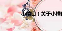 小槽口(關于小槽口簡介)