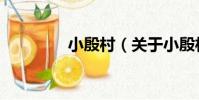 小殷村(關于小殷村簡介)