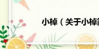 小棹(關于小棹簡介)