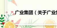 廣業集團(關于廣業集團介紹)