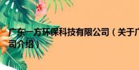 廣東一方環保科技有限公司(關于廣東一方環保科技有限公司介紹)