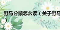 野馬分鬃怎么讀(關于野馬分鬃怎么讀的簡介)