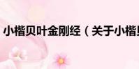 小楷貝葉金剛經(關于小楷貝葉金剛經簡介)
