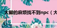 大腳的麻煩找不到npc(大腳npcscan怎么用)