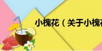 小槐花(關于小槐花簡介)