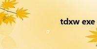 tdxw exe