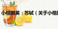 小楷掇英:蘇軾(關于小楷掇英:蘇軾簡介)