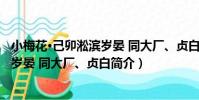 小梅花·己卯淞濱歲晏 同大廠、貞白(關于小梅花·己卯淞濱歲晏 同大廠、貞白簡介)