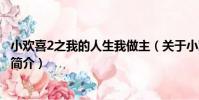 小歡喜2之我的人生我做主(關于小歡喜2之我的人生我做主簡介)