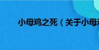 小母雞之死(關于小母雞之死簡介)