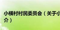 小橫村村民委員會(關于小橫村村民委員會簡介)