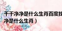 干干凈凈是什么生肖百度找最佳答案(干干凈凈是什么生肖)