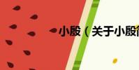 小殷(關于小殷簡介)