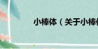 小棒體(關于小棒體簡介)