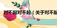 對不起對不起(關于對不起對不起的簡介)