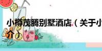 小樽茂騰別墅酒店(關于小樽茂騰別墅酒店簡介)