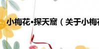 小梅花·探天窟(關于小梅花·探天窟簡介)