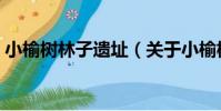 小榆樹林子遺址(關于小榆樹林子遺址簡介)