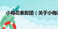 小梅花秦腔團(關于小梅花秦腔團簡介)