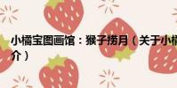 小橘寶圖畫館:猴子撈月(關于小橘寶圖畫館:猴子撈月簡介)
