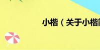 小楷(關于小楷簡介)