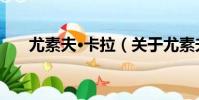 尤素夫·卡拉(關于尤素夫·卡拉簡介)