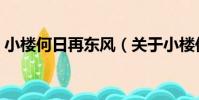 小樓何日再東風(關于小樓何日再東風簡介)