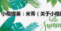 小楷掇英:米芾(關于小楷掇英:米芾簡介)