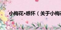 小梅花·感懷(關于小梅花·感懷簡介)